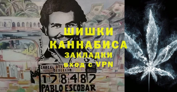 стаф Балахна